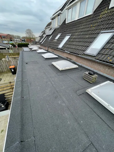 Daken en woningen in Warmenhuizen, Noord-Holland